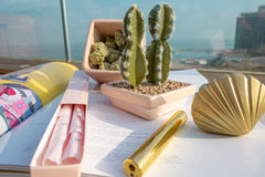 So On Point Luxury Weed Stash Box - Discreet Smoker