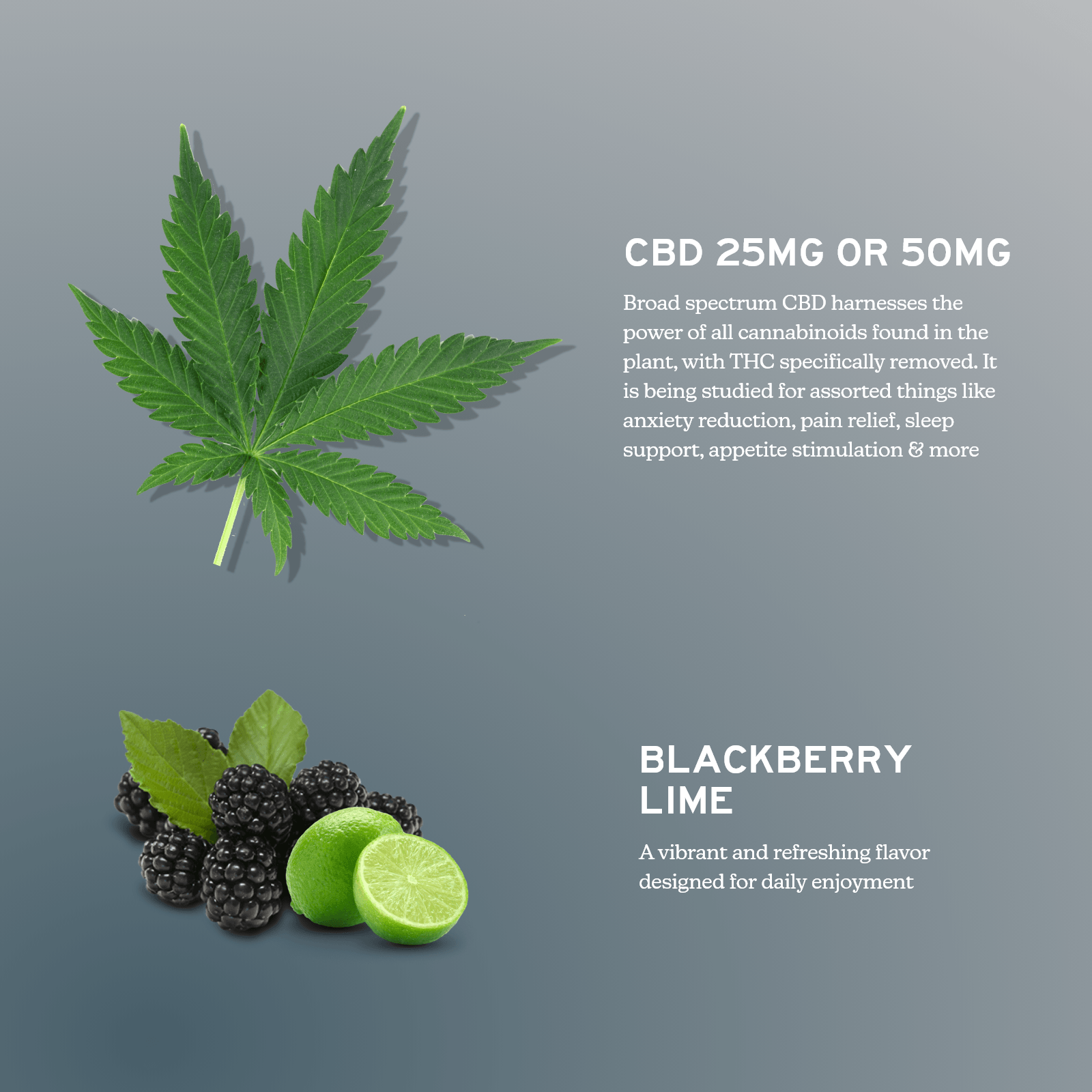 Alchmey Naturals Broad Spectrum CBD Gummies - THC Free - Discreet Smoker
