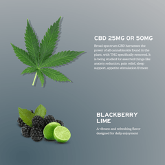 Alchmey Naturals Broad Spectrum CBD Gummies - THC Free - Discreet Smoker