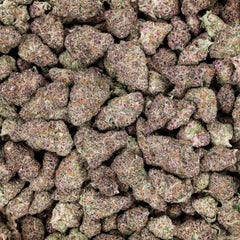 Revelry Cherry Sunrise THCA Flower 3.5G - Discreet Smoker