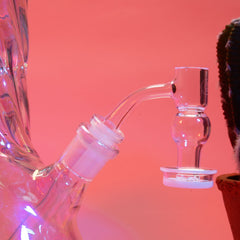 Round Belly Terp Slurper