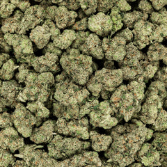 Revelry Citrus Smoothie THCA Flower 3.5G - Discreet Smoker