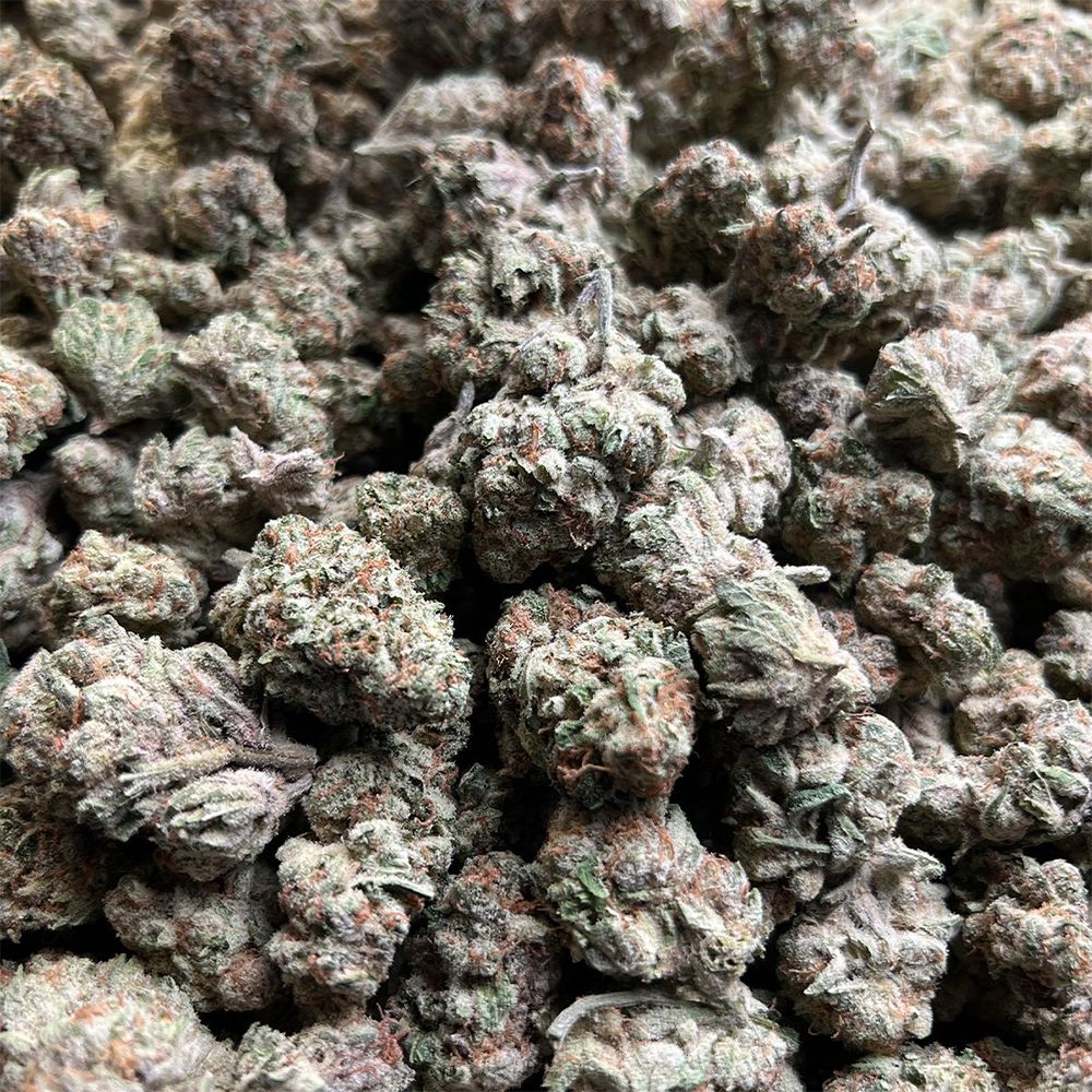 Canvast Premium Indoor THCA Flower | 3.5g - Discreet Smoker
