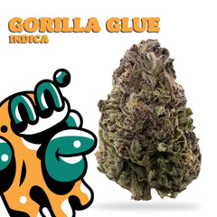 THCA - BIG HIGH FLOWER - GORILLA GLUE 3.5G - Discreet Smoker
