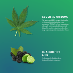 Alchemy Naturals CBD Gummies for Daily Support - Full-Spectrum - Discreet Smoker