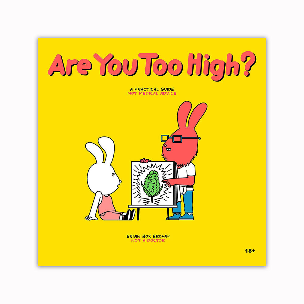 Are You Too High? A Practical Guide Book - Discreet Smoker