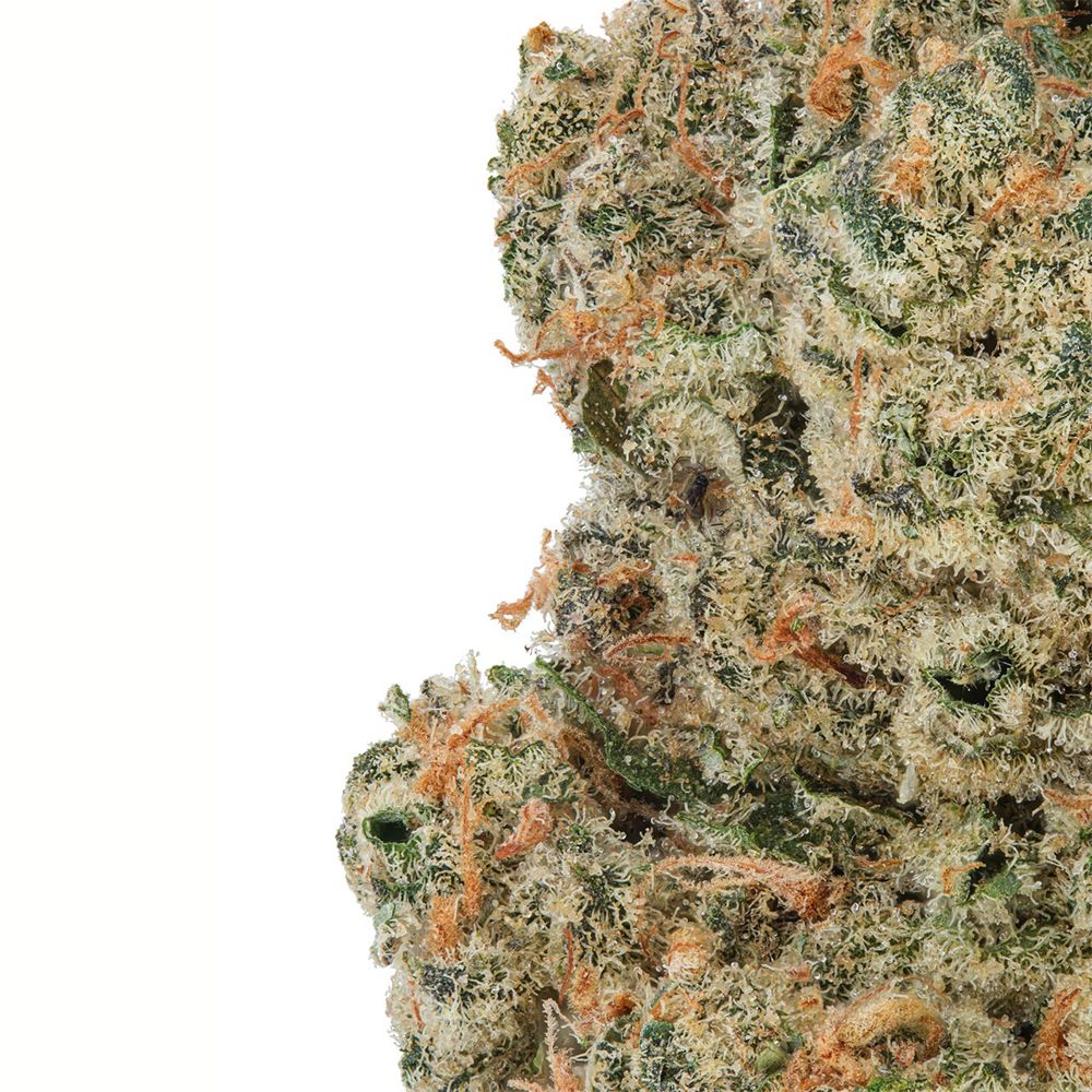 WNC CBD High THCA Indoor Living Soil Flower | 3.5g - Discreet Smoker