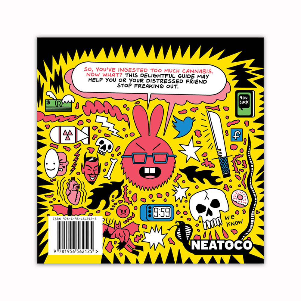 Are You Too High? A Practical Guide Book - Discreet Smoker