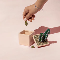 So On Point Luxury Weed Stash Box - Discreet Smoker