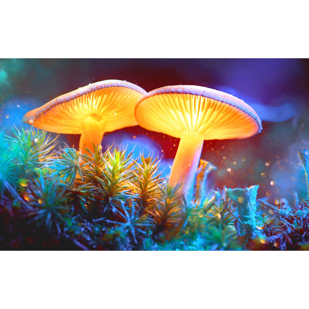 Pulsar Mystical Mushrooms Tapestry - Discreet Smoker