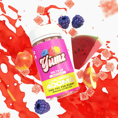 THC Gummies - Delta 9 THC - YUMZ LAB - Fruit Punch - Discreet Smoker