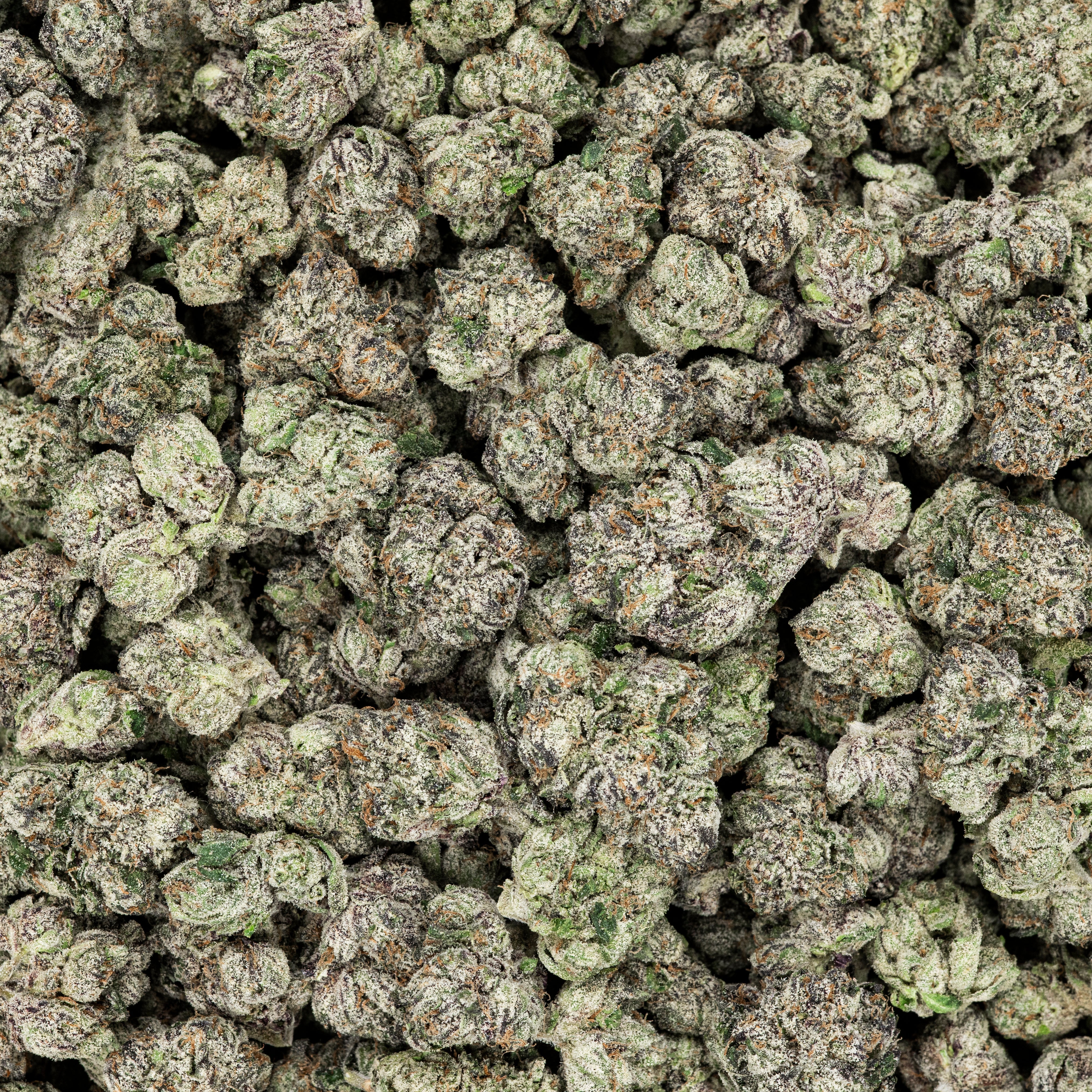 Revelry Frosted Runtz THCA Flower 3.5G - Discreet Smoker