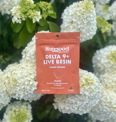 Blood Orange - Delta 9 Live Resin Gummies - Hybrid - Discreet Smoker
