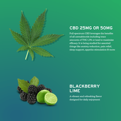 CBD Gummies for Daily Support - Full-Spectrum