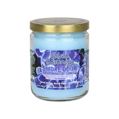 Smoke Odor Exterminator Candle | Year-Round Series | 13oz - Discreet Smoker