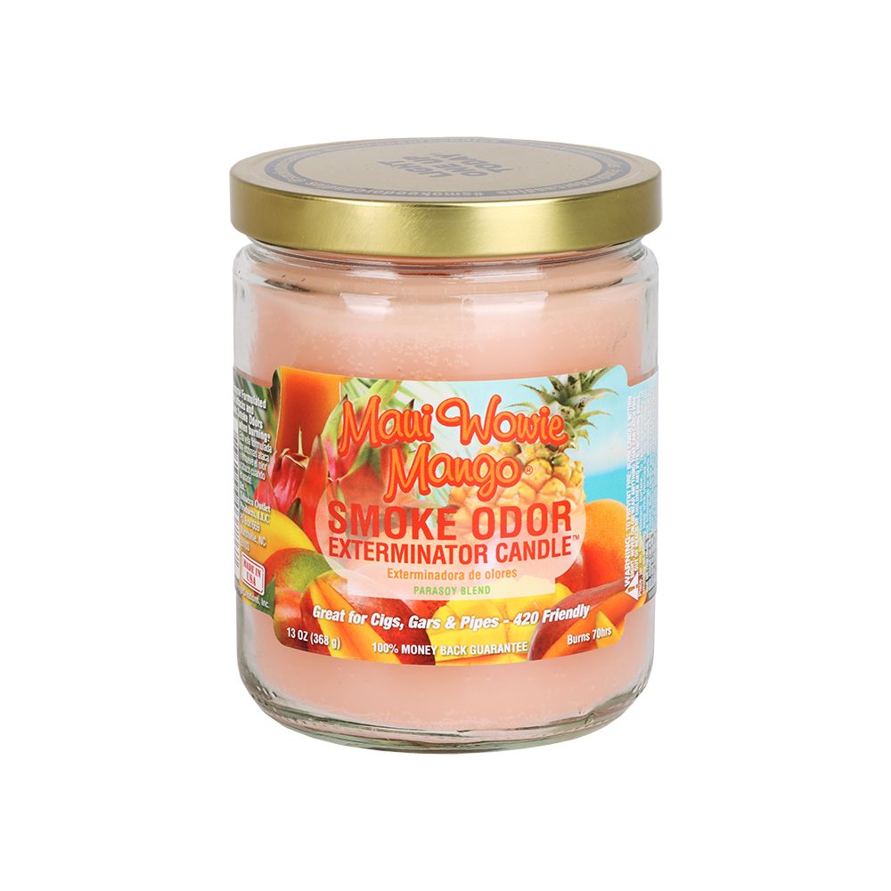 Smoke Odor Exterminator Candle | Year-Round Series | 13oz - Discreet Smoker