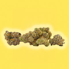 Lemon Cherry Gelato - THCa Flower - Hybrid - Discreet Smoker