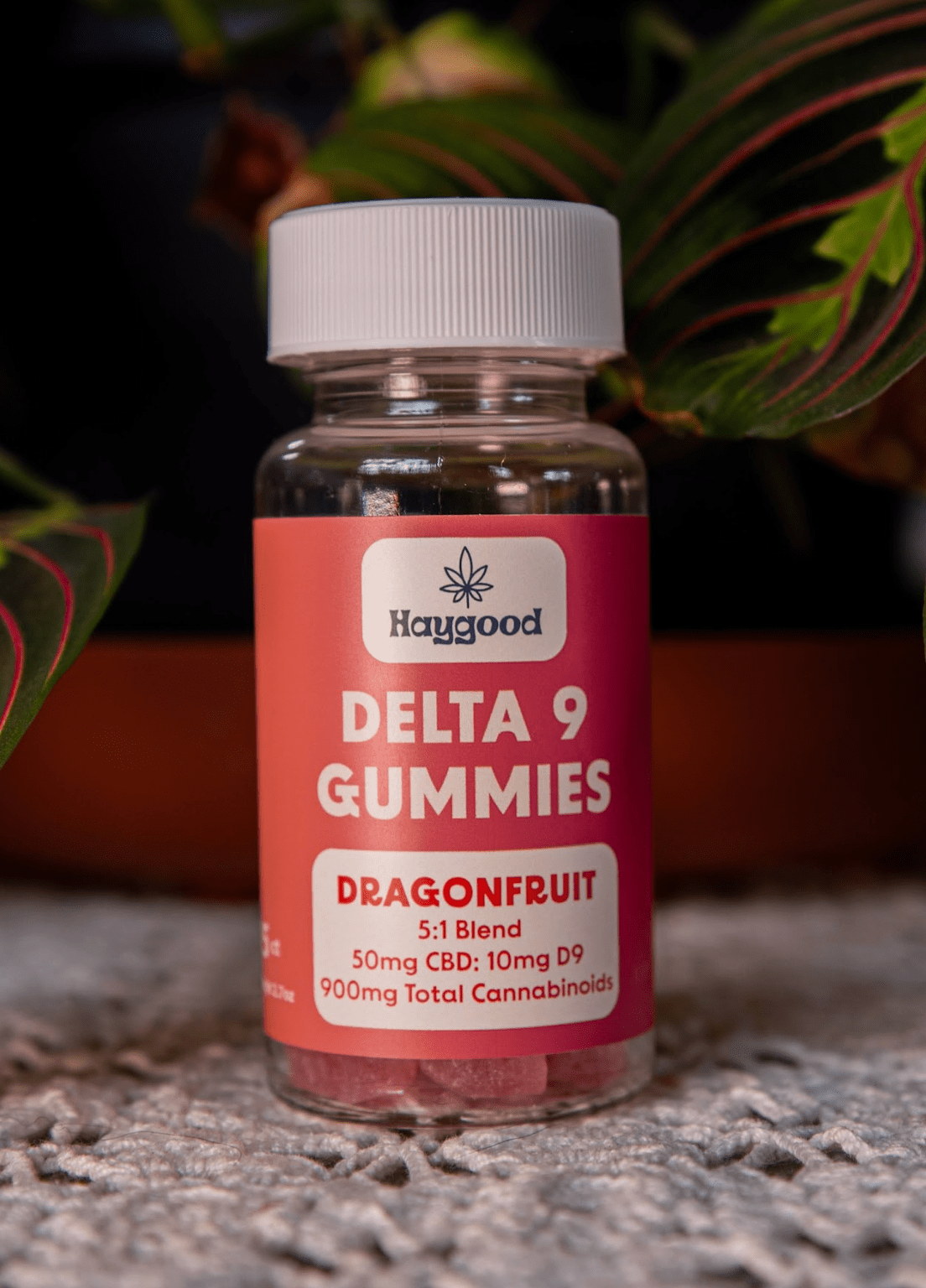 Haygood CBD:D9 Dragonfruit Sorbet 5:1 15ct - Discreet Smoker