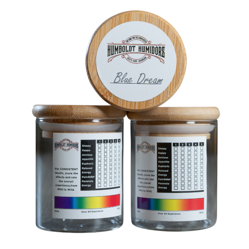 Glass Top Cobalt Blue Humboldt Humidor - Discreet Smoker