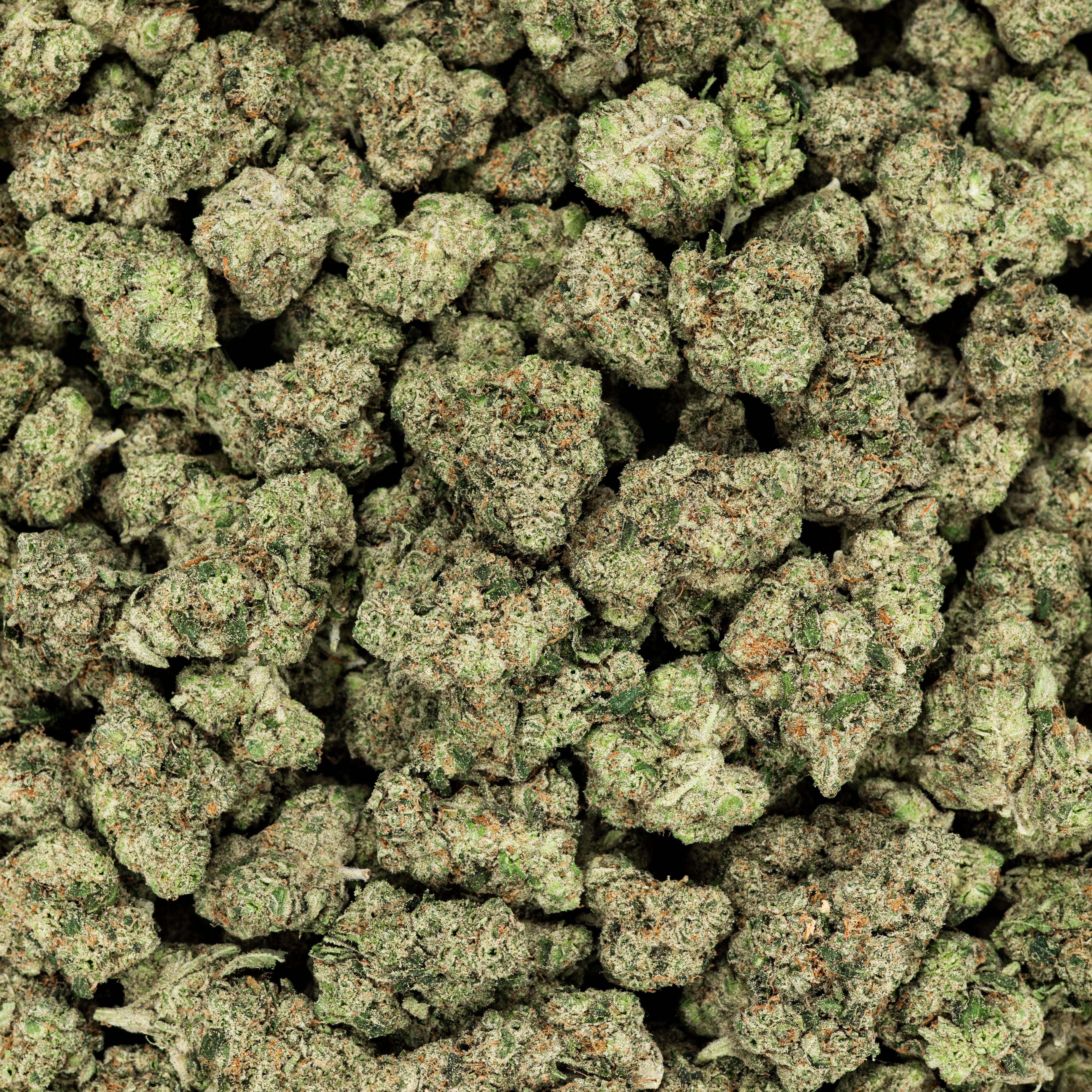 Revelry Citrus Smoothie THCA Flower 3.5G - Discreet Smoker