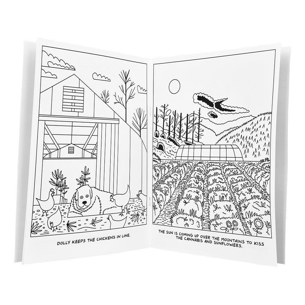 Wood Rocket A Visit To The Hemp Farm Adult Coloring Book - 8.5"x11" - Discreet Smoker