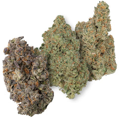 WNC CBD High THCA Indoor Living Soil Flower | 3.5g - Discreet Smoker