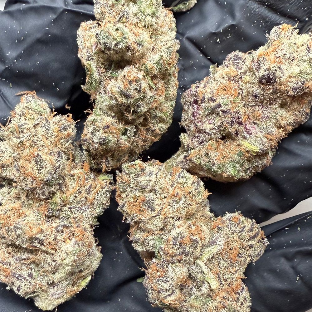 Canvast Premium Indoor THCA Flower | 3.5g - Discreet Smoker