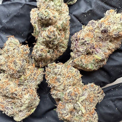Canvast Premium Indoor THCA Flower | 3.5g - Discreet Smoker