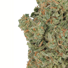 WNC CBD High THCA Indoor Living Soil Flower | 3.5g - Discreet Smoker