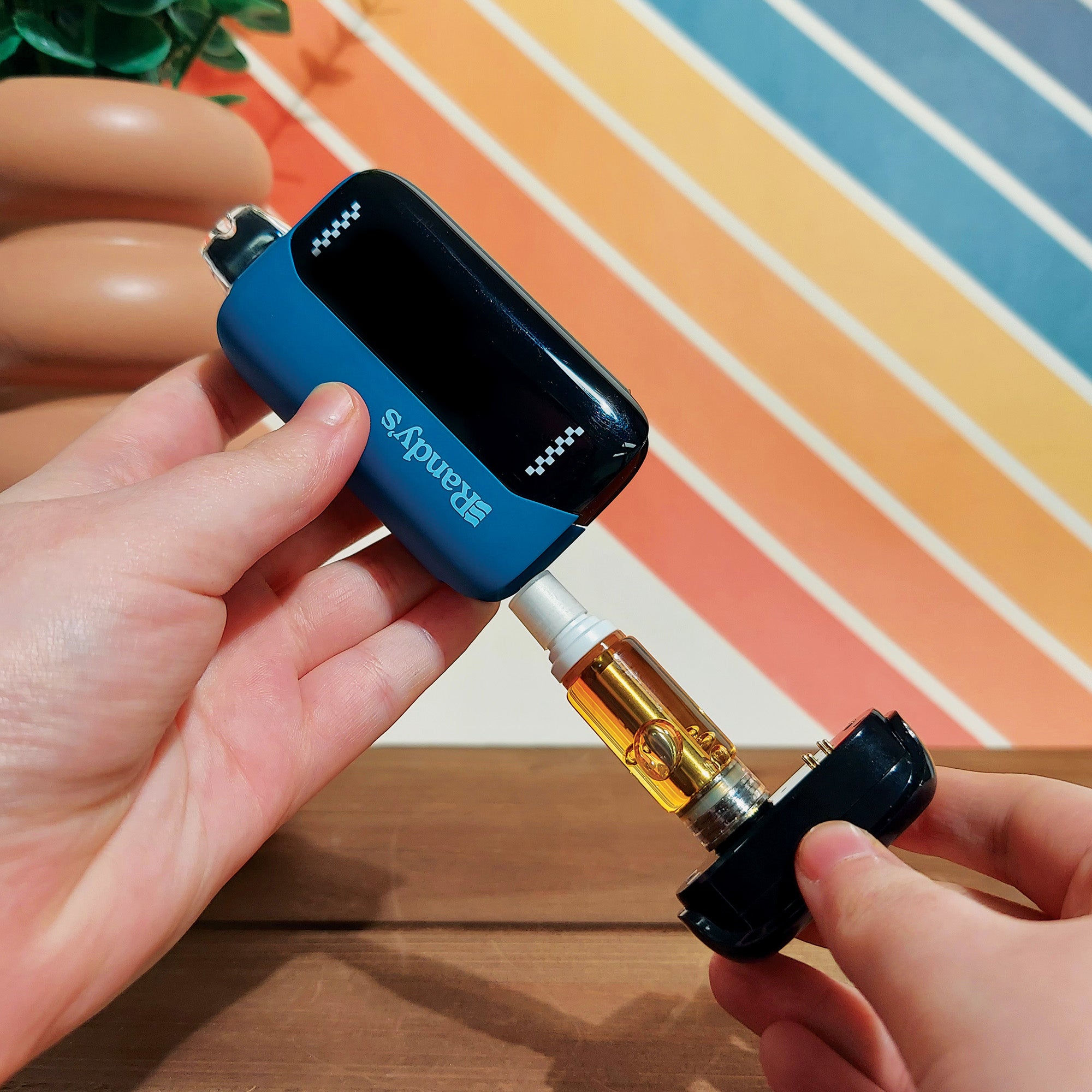 Randy's Inspo Max 510 Battery - Discreet Smoker