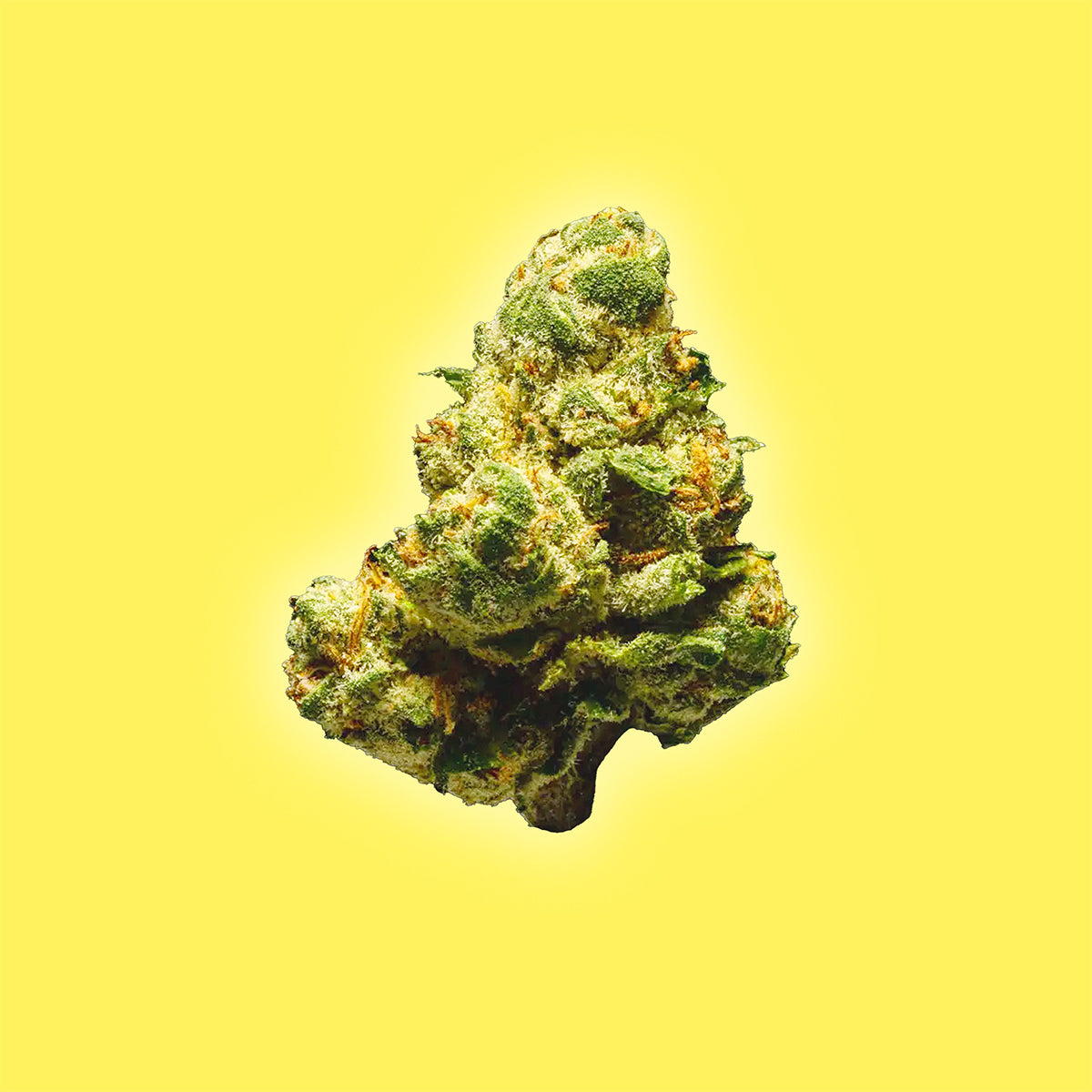 Lemon Cherry Gelato - THCa Flower - Hybrid - Discreet Smoker