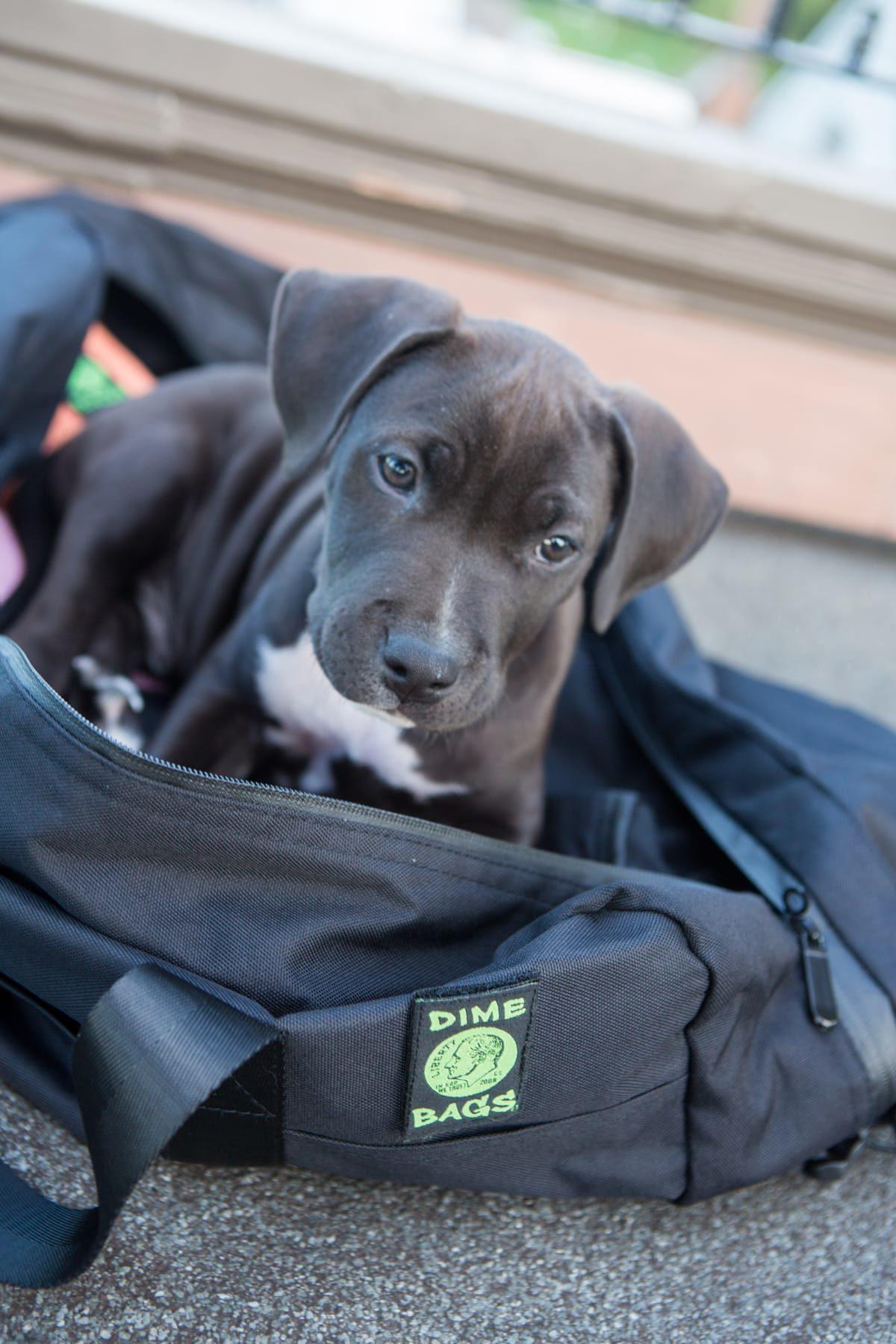 The Associate - Discreet Smoker