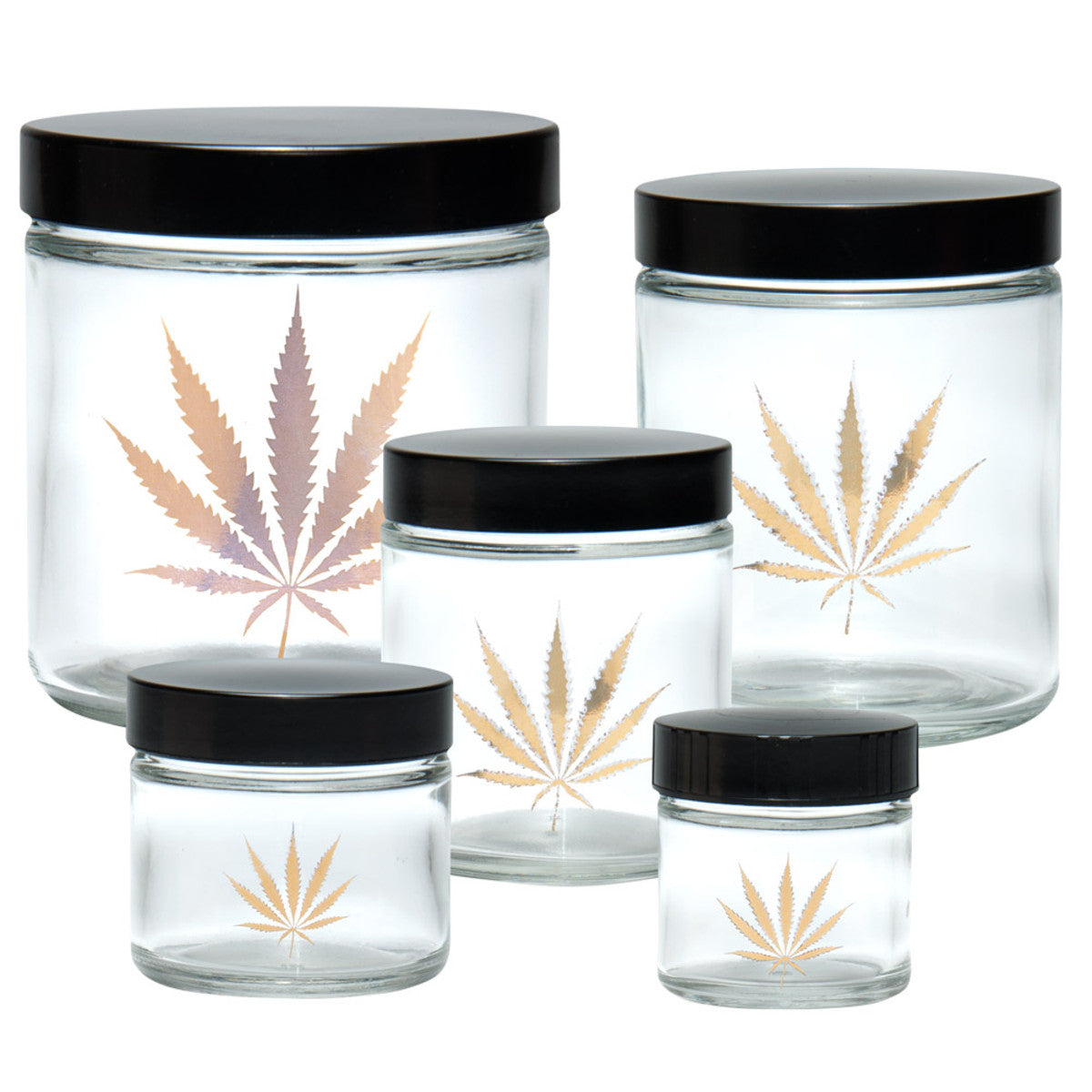 420 Science Clear Screw Top Jar - Gold Leaf - Discreet Smoker