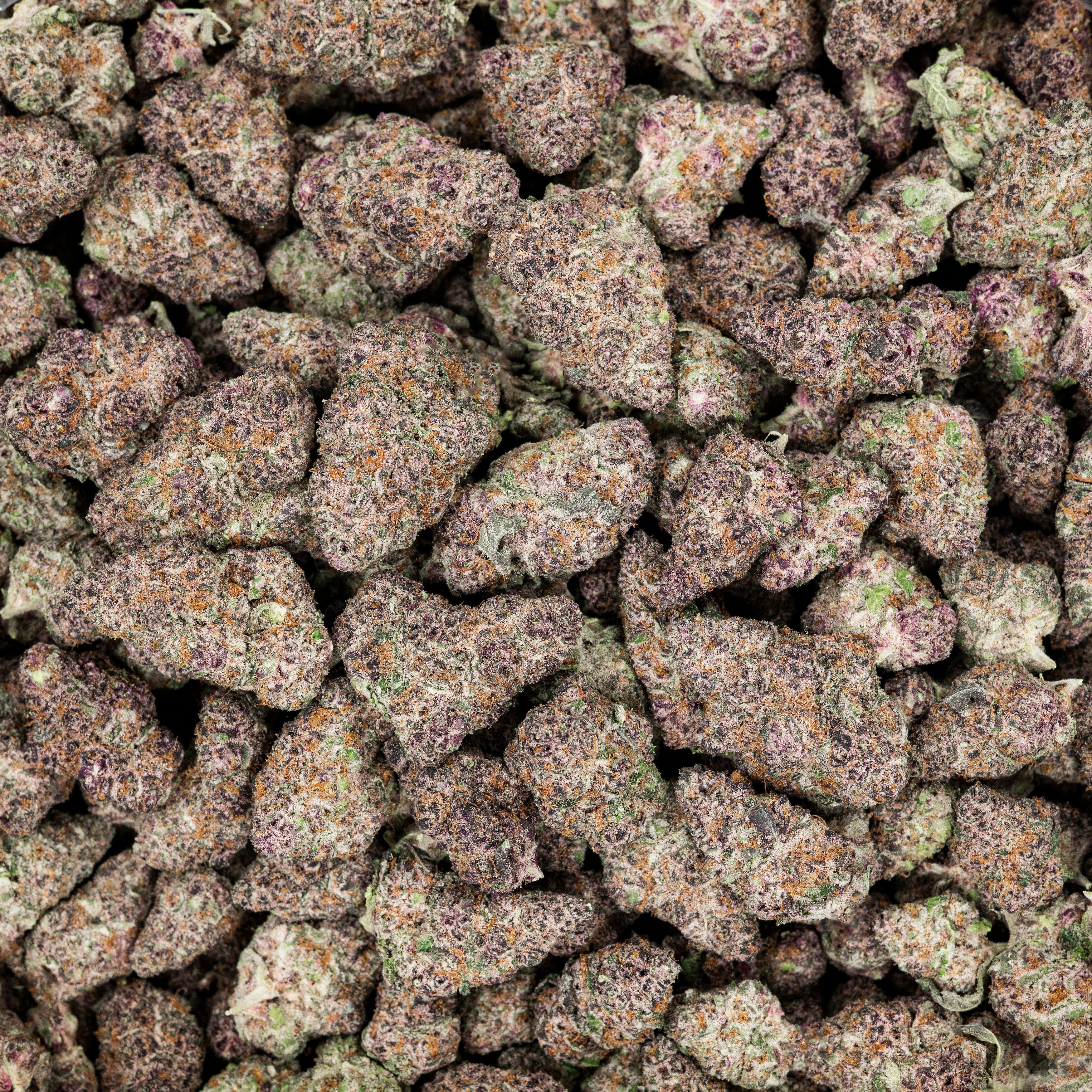 Revelry Cherry Sunrise THCA Flower 3.5G - Discreet Smoker