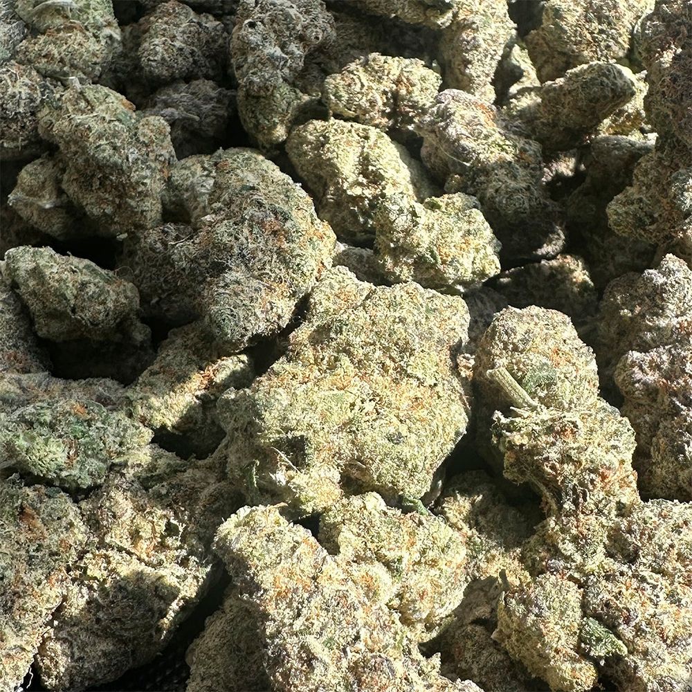 Canvast Premium Indoor THCA Flower | 3.5g - Discreet Smoker