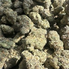 Canvast Premium Indoor THCA Flower | 3.5g - Discreet Smoker