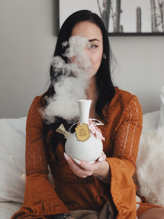 Friends Vase Bongs - Discreet Smoker