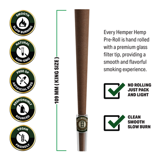 Pre-Rolled 2PK King Size Glass Tipped Hemp Cones| 12ct Display - Discreet Smoker