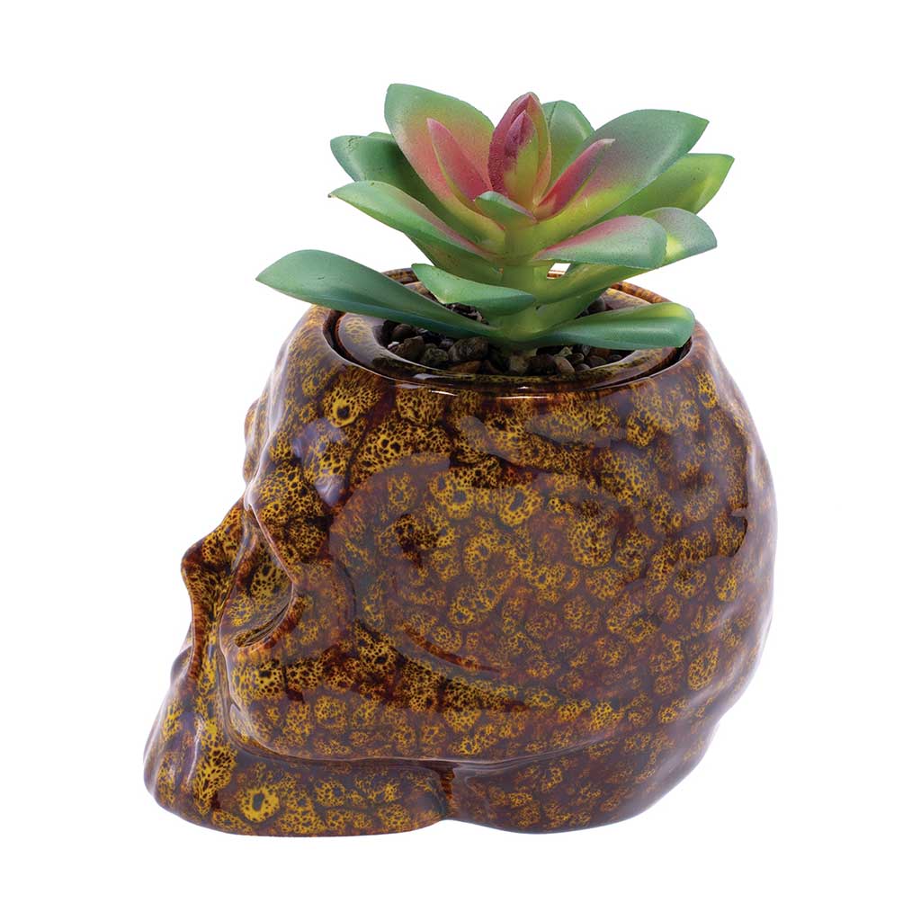 SKULL PLANTER STASH JAR - Discreet Smoker