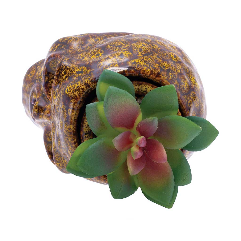 SKULL PLANTER STASH JAR - Discreet Smoker