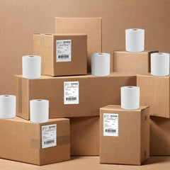 4X6 Thermal Shipping Labels - 2 Rolls of 250, Perforated & Smudge-Proof Direct Thermal Labels Compatible with Rollo, Zebra, for Amazon UPS Fedex Shopify