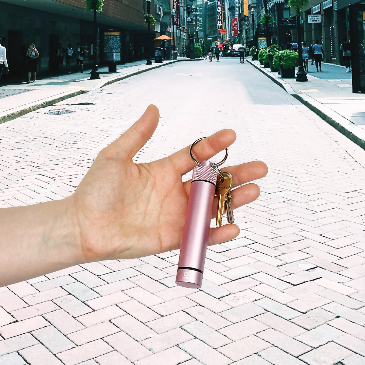 Ongrok Aluminum Storage Keychain - Discreet Smoker