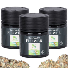 Canvast Premium Indoor THCA Flower | 3.5g - Discreet Smoker