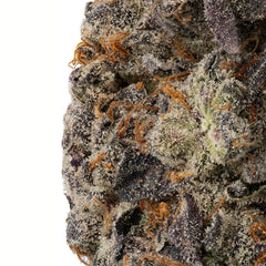 WNC CBD High THCA Indoor Living Soil Flower | 3.5g - Discreet Smoker