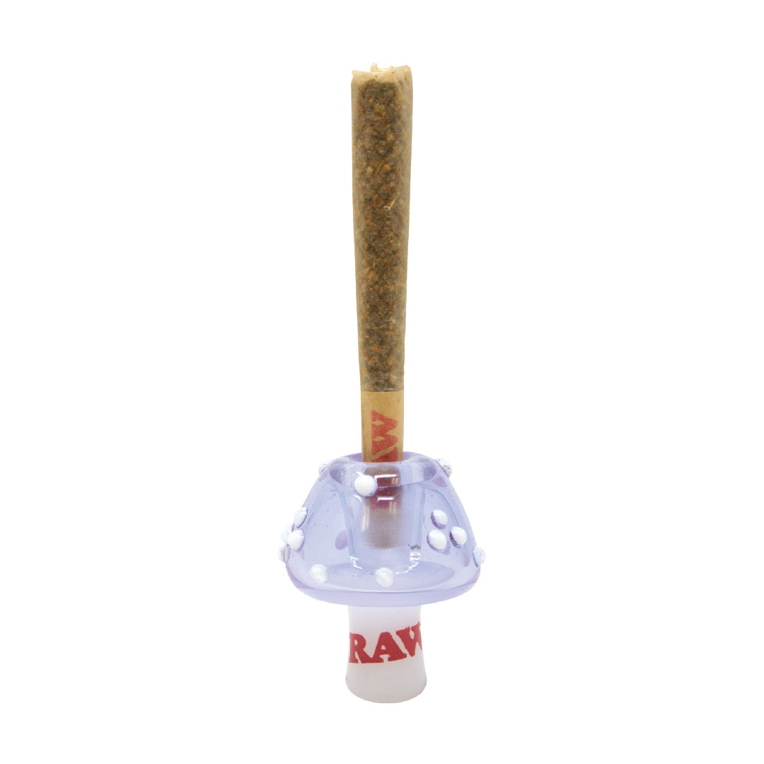 RAW Glass Cone Holders - Discreet Smoker