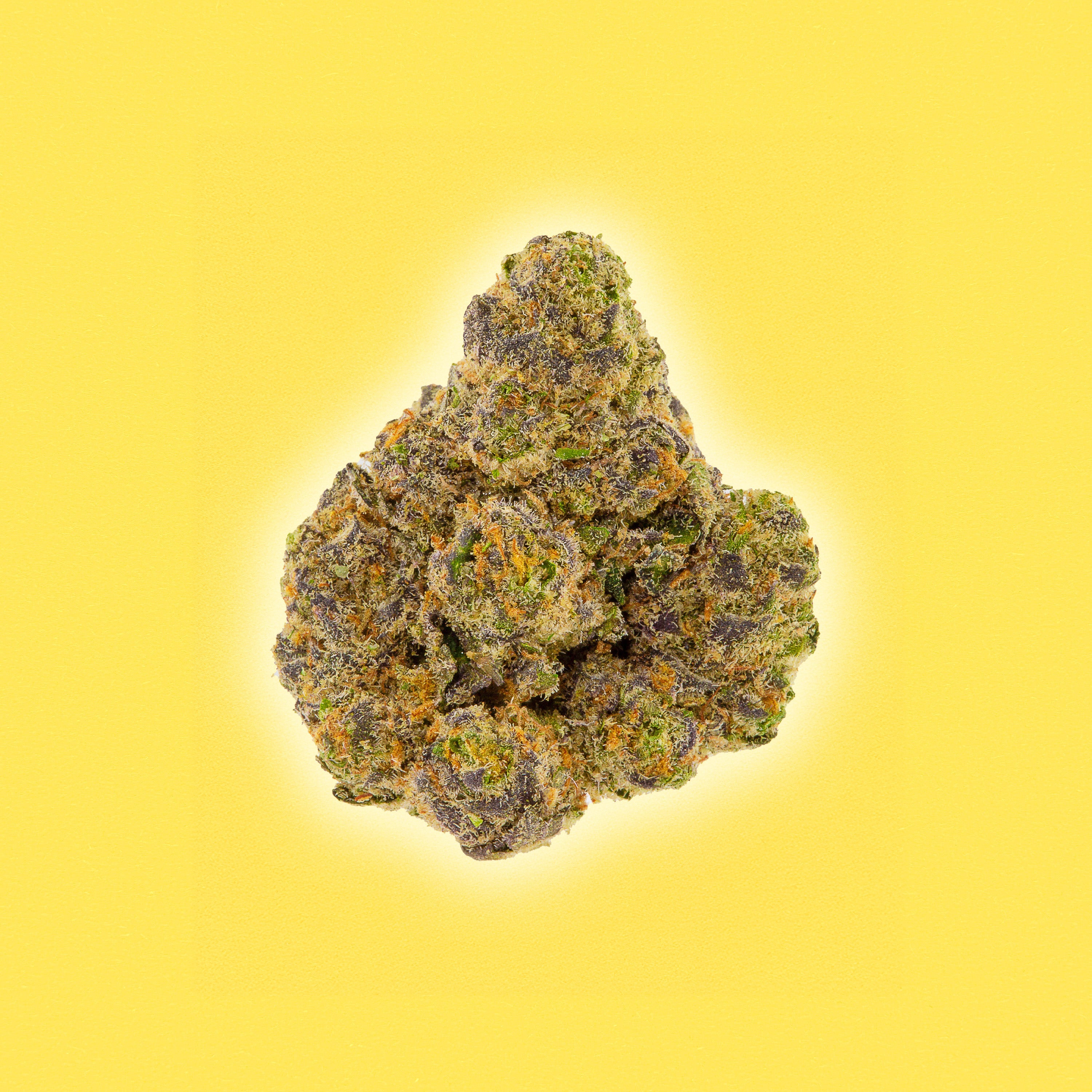 Lemon Cherry Gelato - THCa Flower - Hybrid - Discreet Smoker