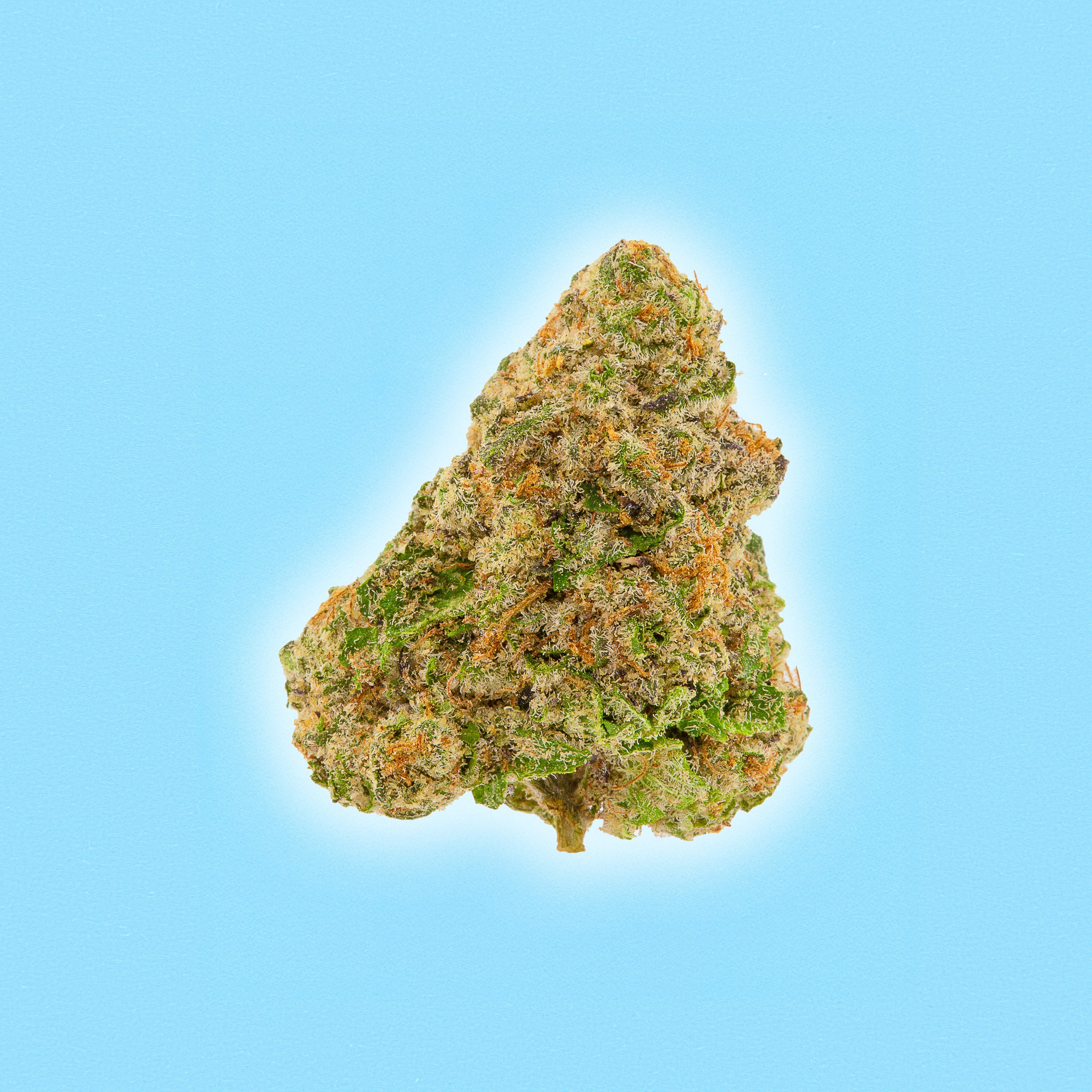 Rainbow Belts - THCa Flower - Indica - Discreet Smoker
