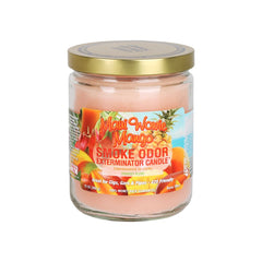 Smoke Odor Exterminator Candle | Year-Round Series | 13oz - Discreet Smoker