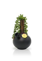 DeAngelo Set - Discreet Smoker