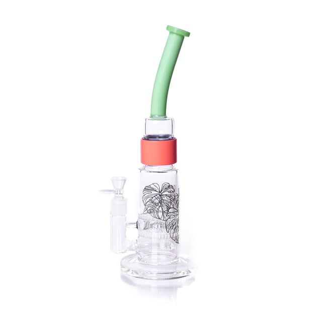 Monstera Bent Big Honeycomb - Discreet Smoker